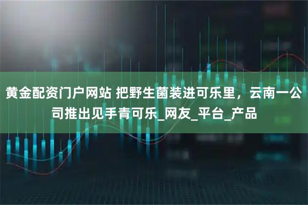 黄金配资门户网站 把野生菌装进可乐里，云南一公司推出见手青可乐_网友_平台_产品