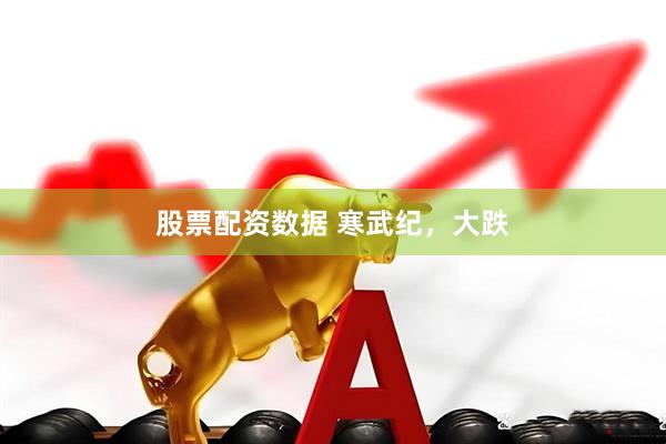 股票配资数据 寒武纪，大跌